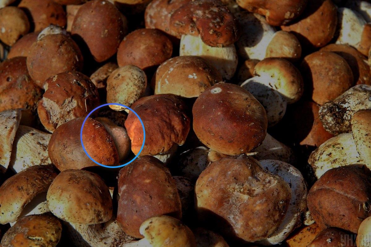 Kámen byl téměř uprostřed optické iluze / koláže Moje