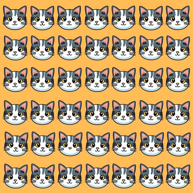 Tento optický klam je možný pouze pro lidi s grandiózním IQ / Moje image