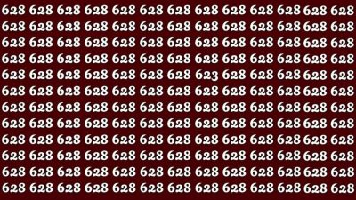 Hádanka pro superchytré: najděte číslo 623 za pouhých 32 sekund