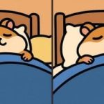 IQ test: najděte 3 rozdíly na obrázku spícího křečka za