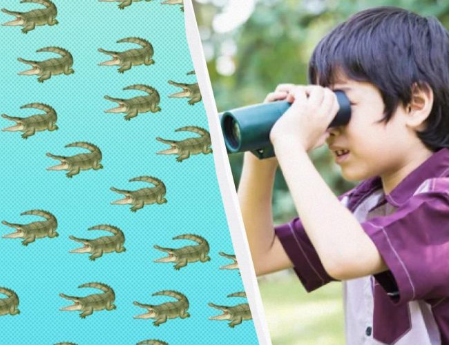 Krokodýla najde za 15 sekund jen „titán“ s kolosálním IQ: zajímavý optický klam