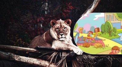 Tohle je úkol, který zvládne jen málokdo: musíte najít lva v parku za 6 sekund.